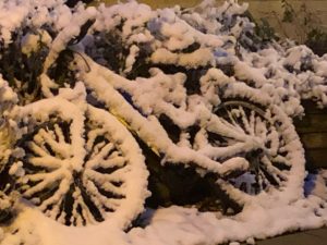 Sitefinity in Snow